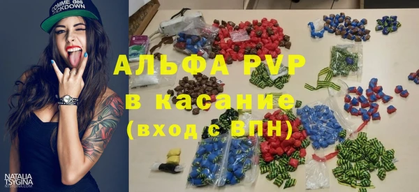 spice Аркадак