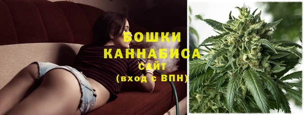 spice Аркадак